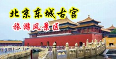 免费看操骚逼中国北京-东城古宫旅游风景区